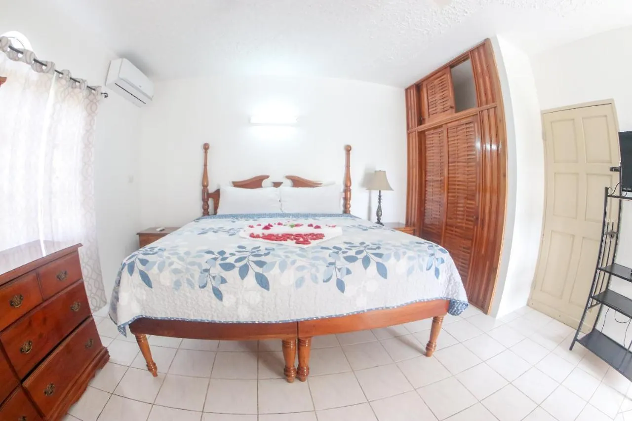 Van Villa Guesthouse Negril 0*,  Jamaica