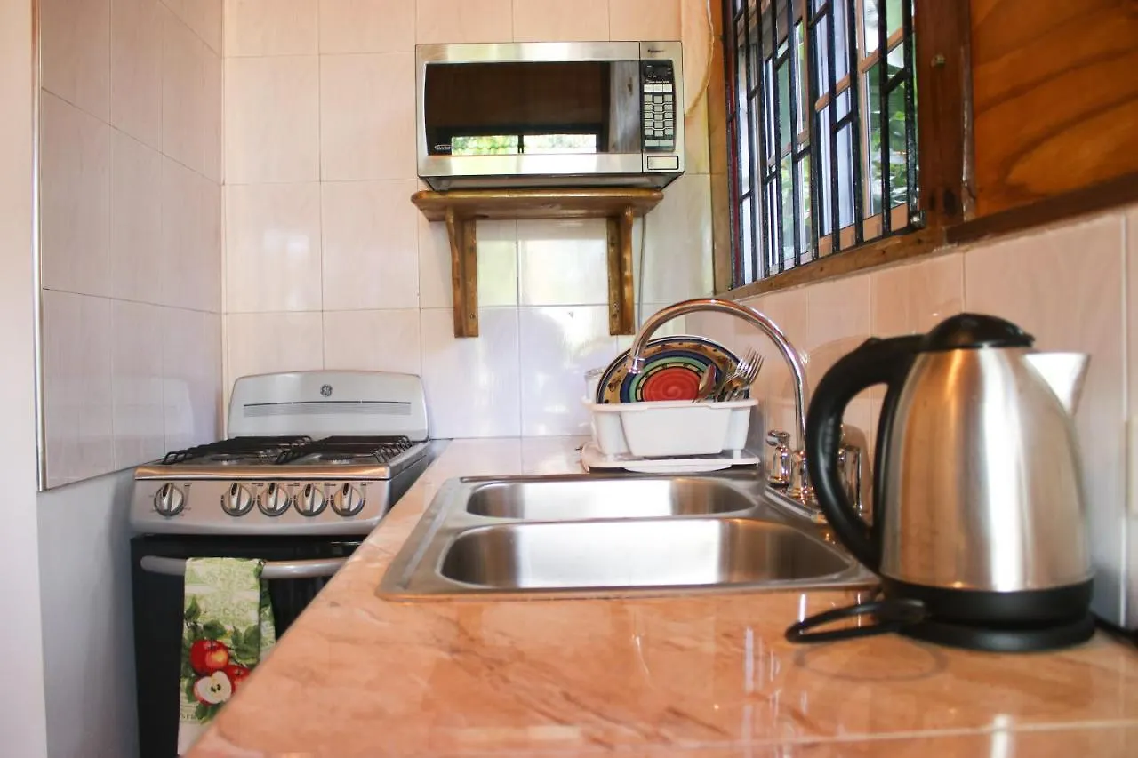 Van Villa Guesthouse Negril 0*,