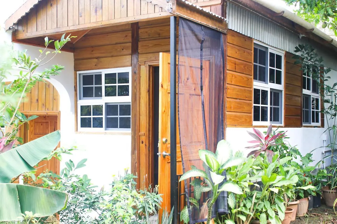Van Villa Guesthouse Negril 0*,  Jamajka