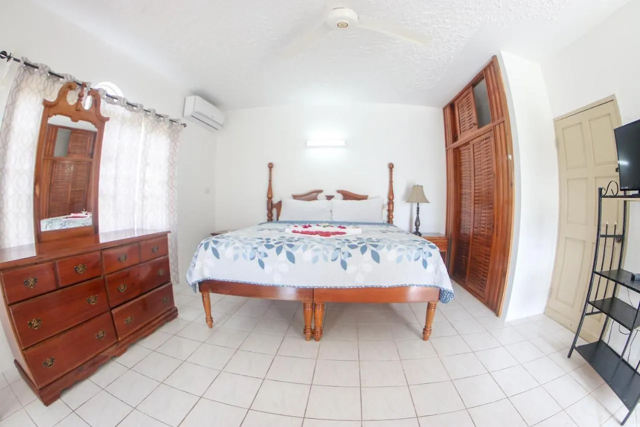 Penzion Van Villa Guesthouse Negril