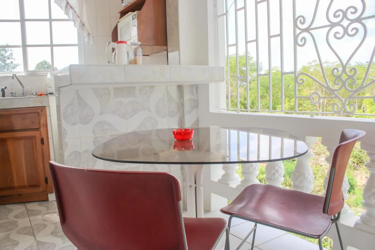 Penzion Van Villa Guesthouse Negril Jamajka