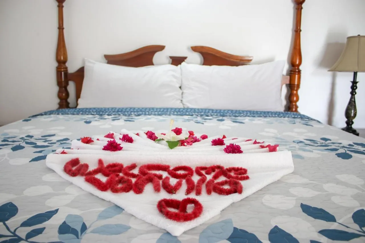 Van Villa Guesthouse Negril Penzion